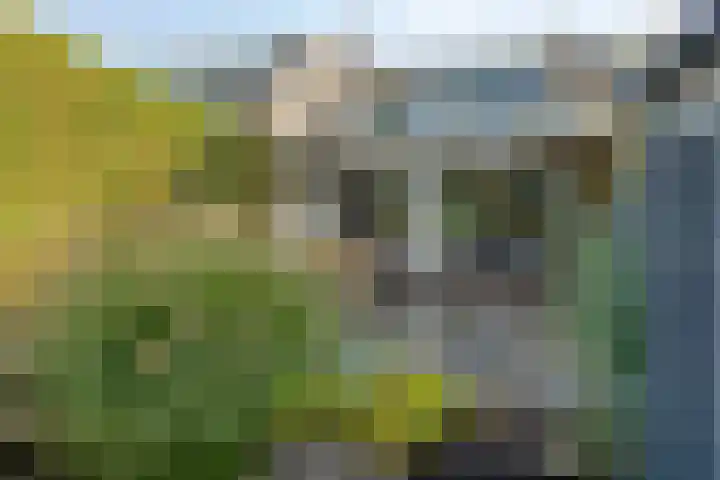 Essenlaan 71 Woerden thumbnail 27