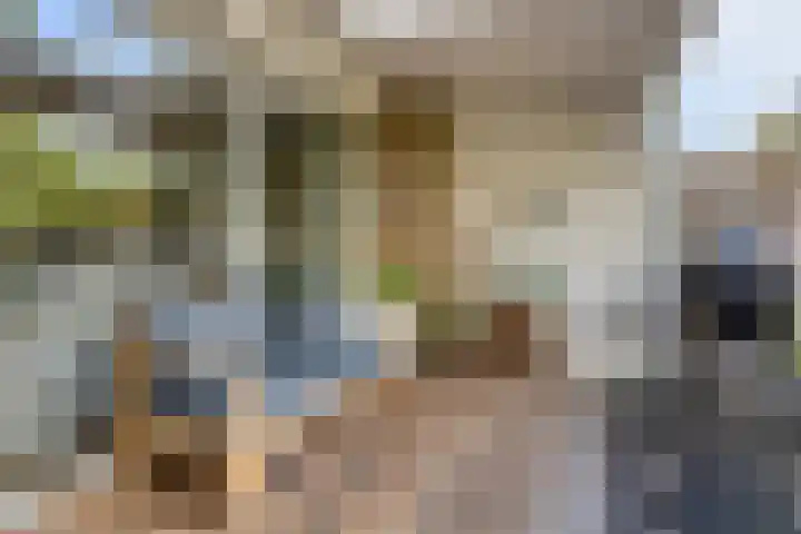 Essenlaan 71 Woerden thumbnail 28