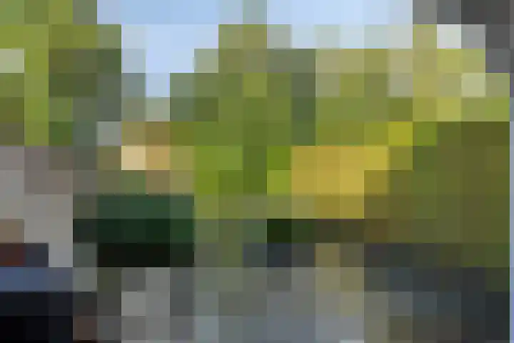Essenlaan 71 Woerden thumbnail 29