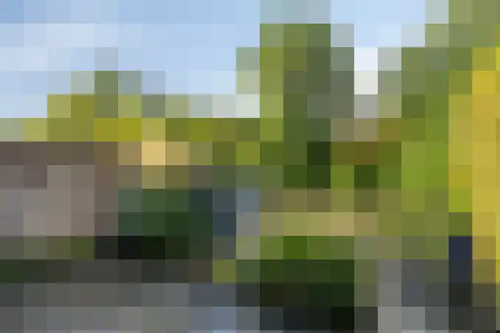 Essenlaan 71 Woerden thumbnail 30