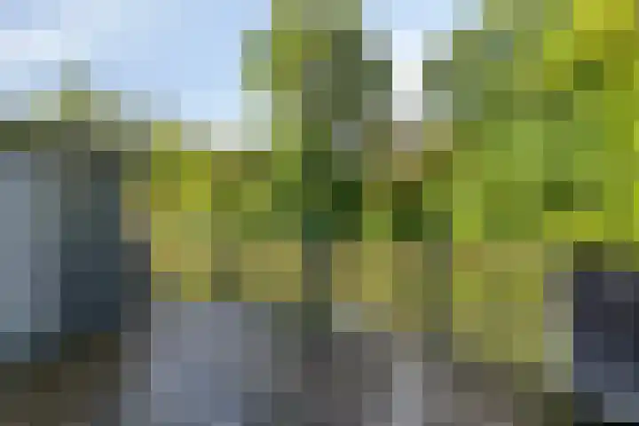 Essenlaan 71 Woerden thumbnail 32