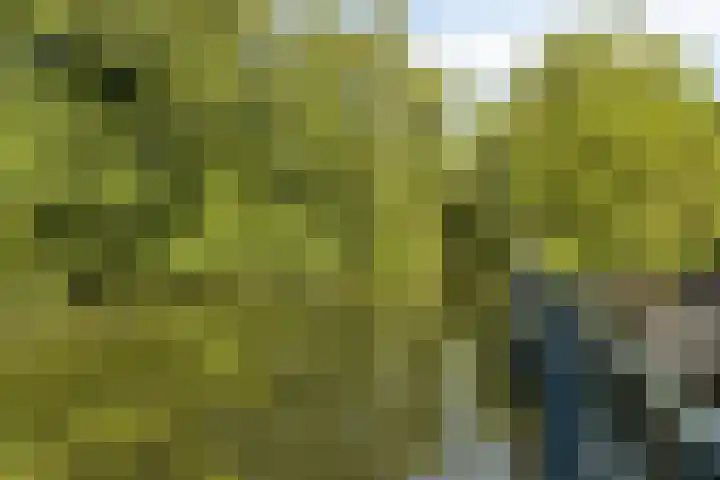 Essenlaan 71 Woerden thumbnail 33
