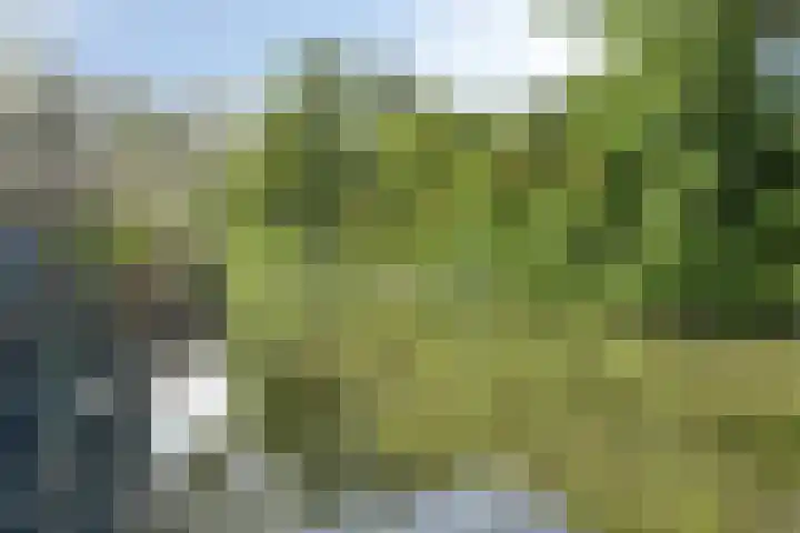 Essenlaan 71 Woerden thumbnail 34