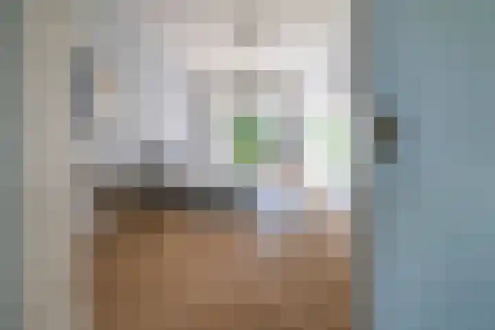 Essenlaan 74 Rotterdam thumbnail 14