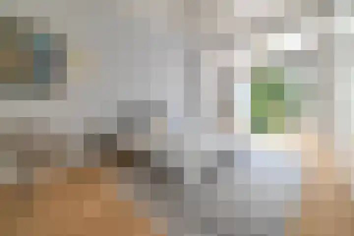 Essenlaan 74 Rotterdam thumbnail 16