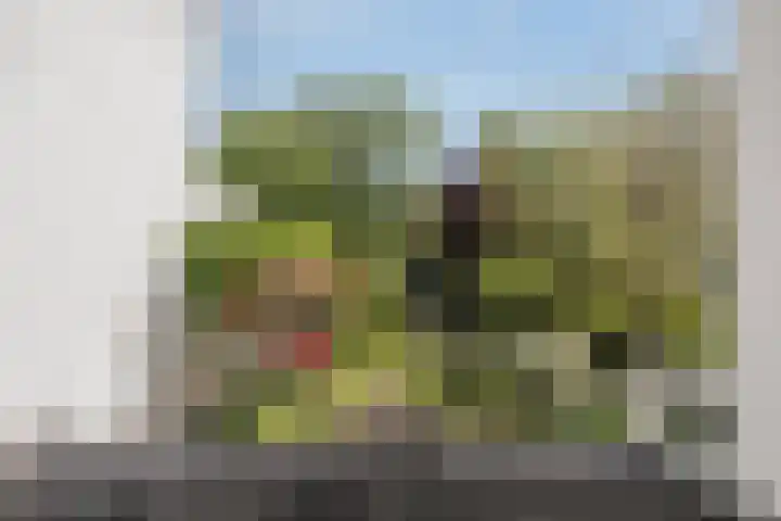Essenlaan 74 Rotterdam thumbnail 19