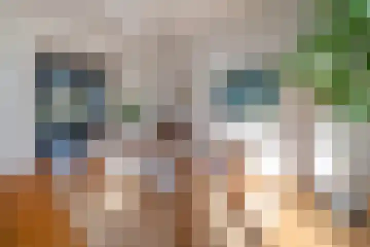 Essenlaan 74 Rotterdam thumbnail 30