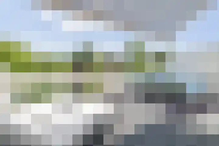 Essenlaan 74 Rotterdam thumbnail 33
