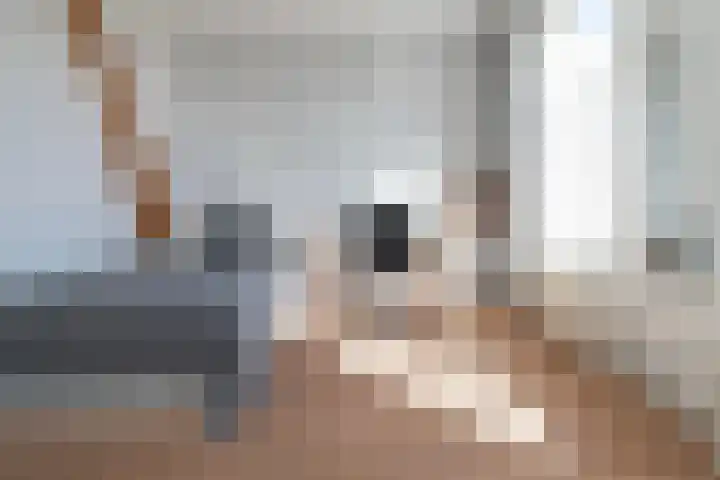 Essenlaan 74 Rotterdam thumbnail 47