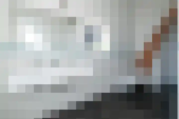 Essenlaan 74 Rotterdam thumbnail 49