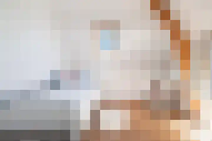 Essenlaan 74 Rotterdam thumbnail 51