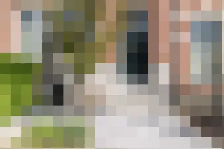 Essenlaan 74 Rotterdam thumbnail 6