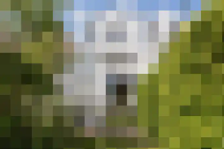 Essenlaan 74 Rotterdam thumbnail 62