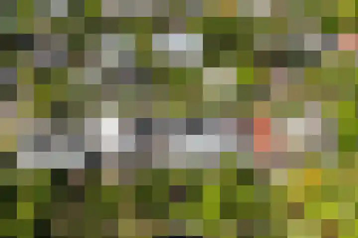 Essenlaan 74 Rotterdam thumbnail 64