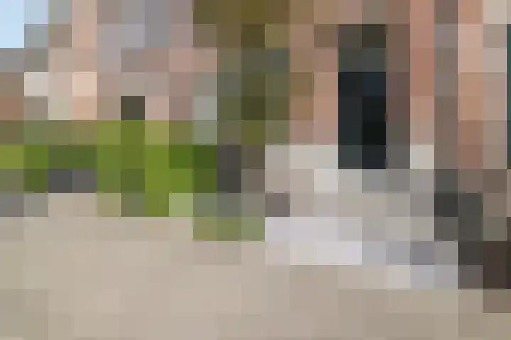 Essenlaan 74 Rotterdam thumbnail 65
