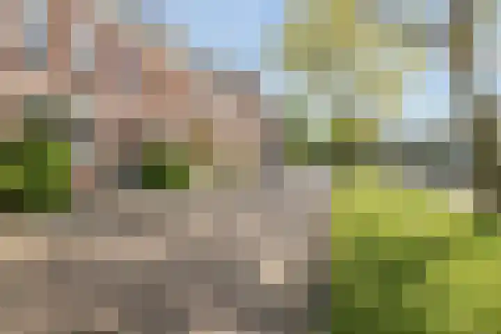 Essenlaan 74 Rotterdam thumbnail 67
