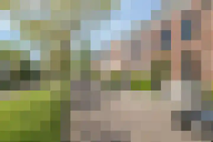 Essenlaan 74 Rotterdam thumbnail 69