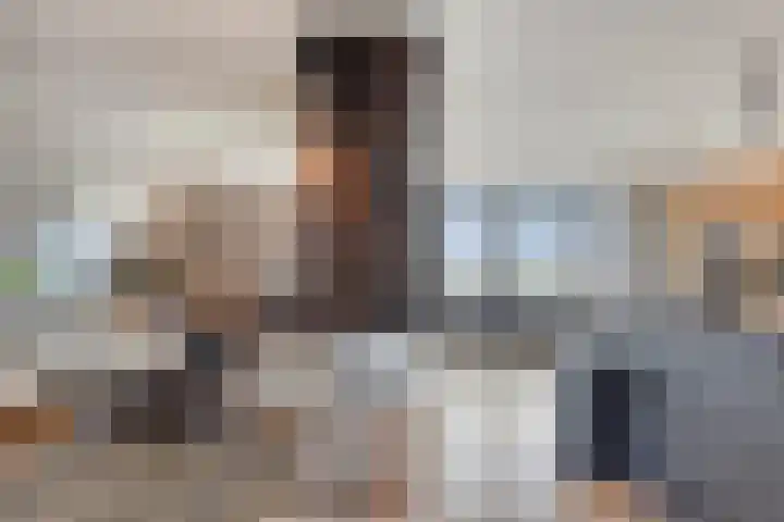 Essenlaan 78 Dirksland thumbnail 10