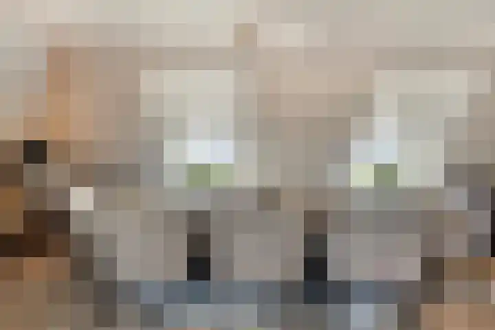 Essenlaan 78 Dirksland thumbnail 16