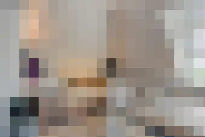 Essenlaan 78 Dirksland thumbnail 17