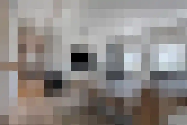 Essenlaan 78 Dirksland thumbnail 27
