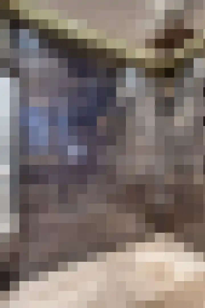 Essenlaan 78 Dirksland thumbnail 32
