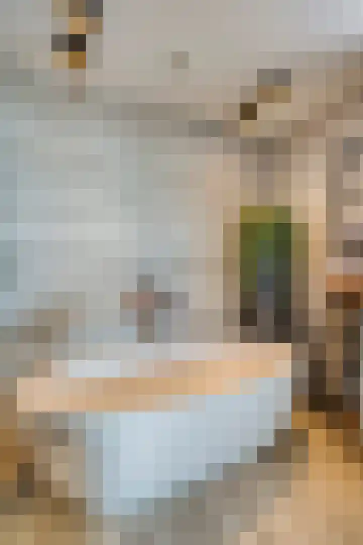 Essenlaan 78 Dirksland thumbnail 33