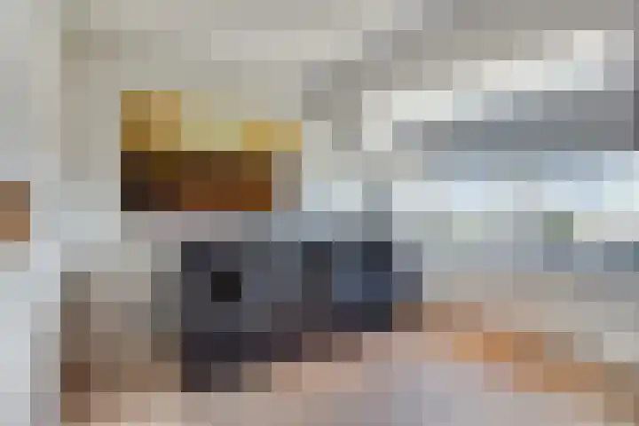 Essenlaan 78 Dirksland thumbnail 34