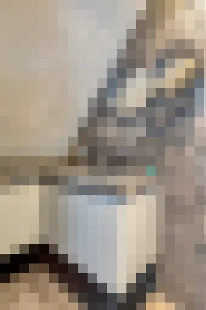 Essenlaan 78 Dirksland thumbnail 35