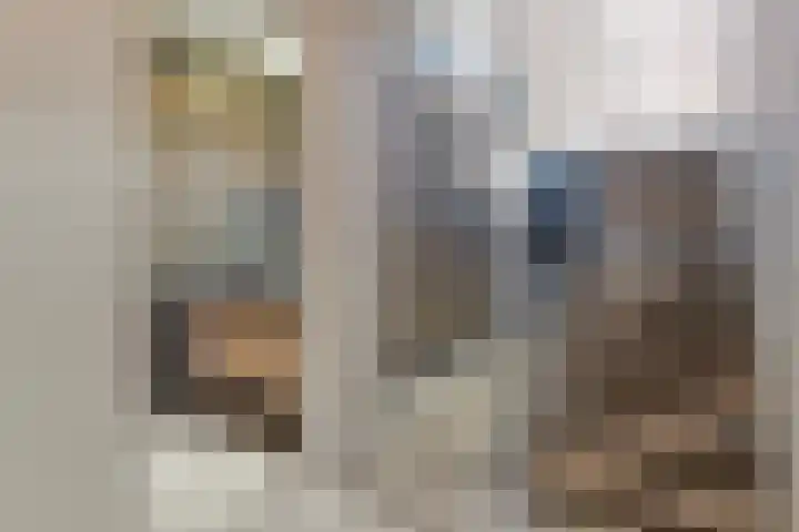 Essenlaan 78 Dirksland thumbnail 37