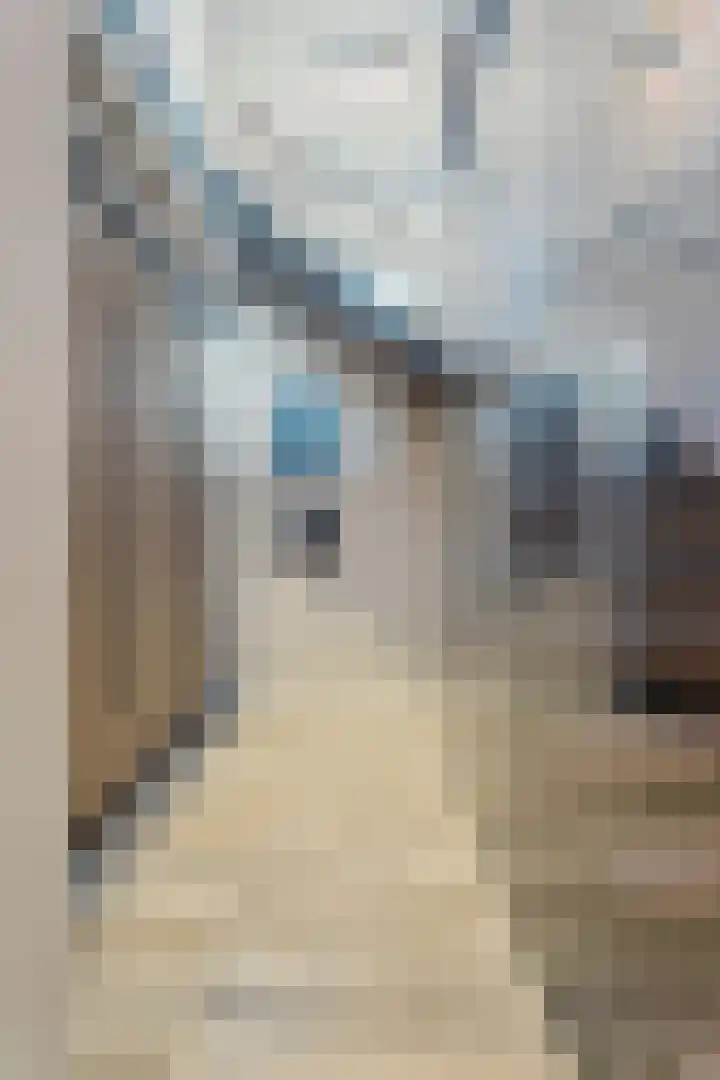 Essenlaan 78 Dirksland thumbnail 38
