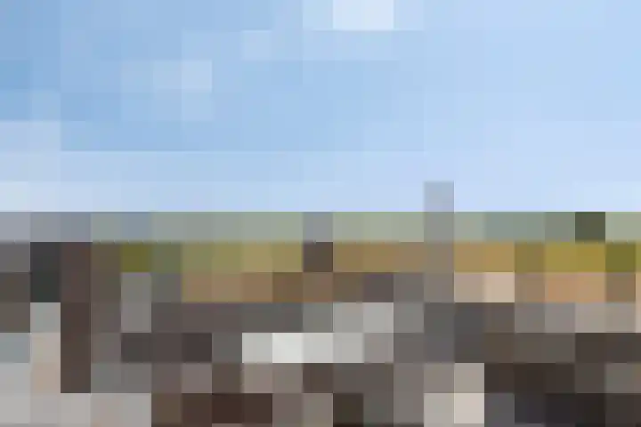 Essenlaan 78 Dirksland thumbnail 48
