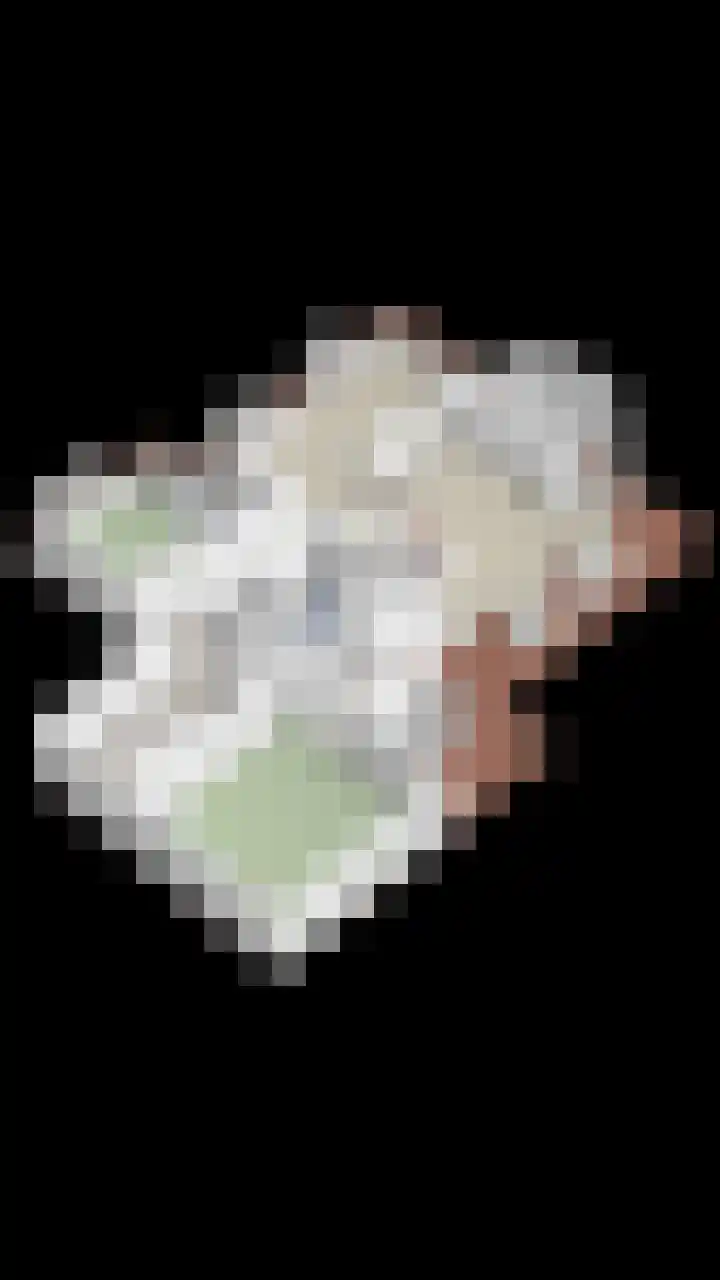 Essenlaan 78 Dirksland thumbnail 56