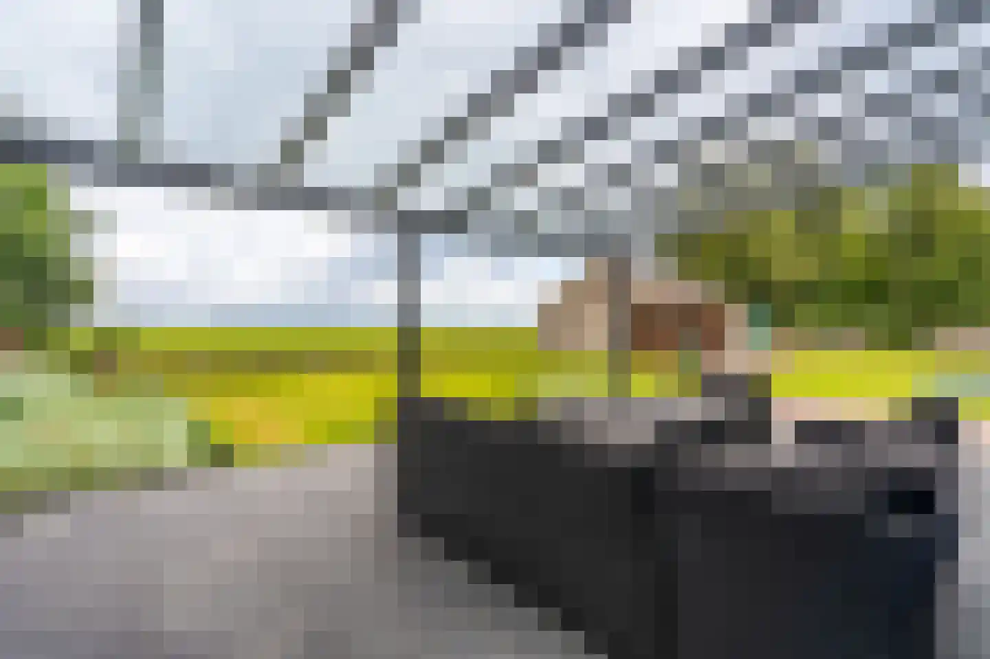 Essenlaan 8 Veelerveen thumbnail 12