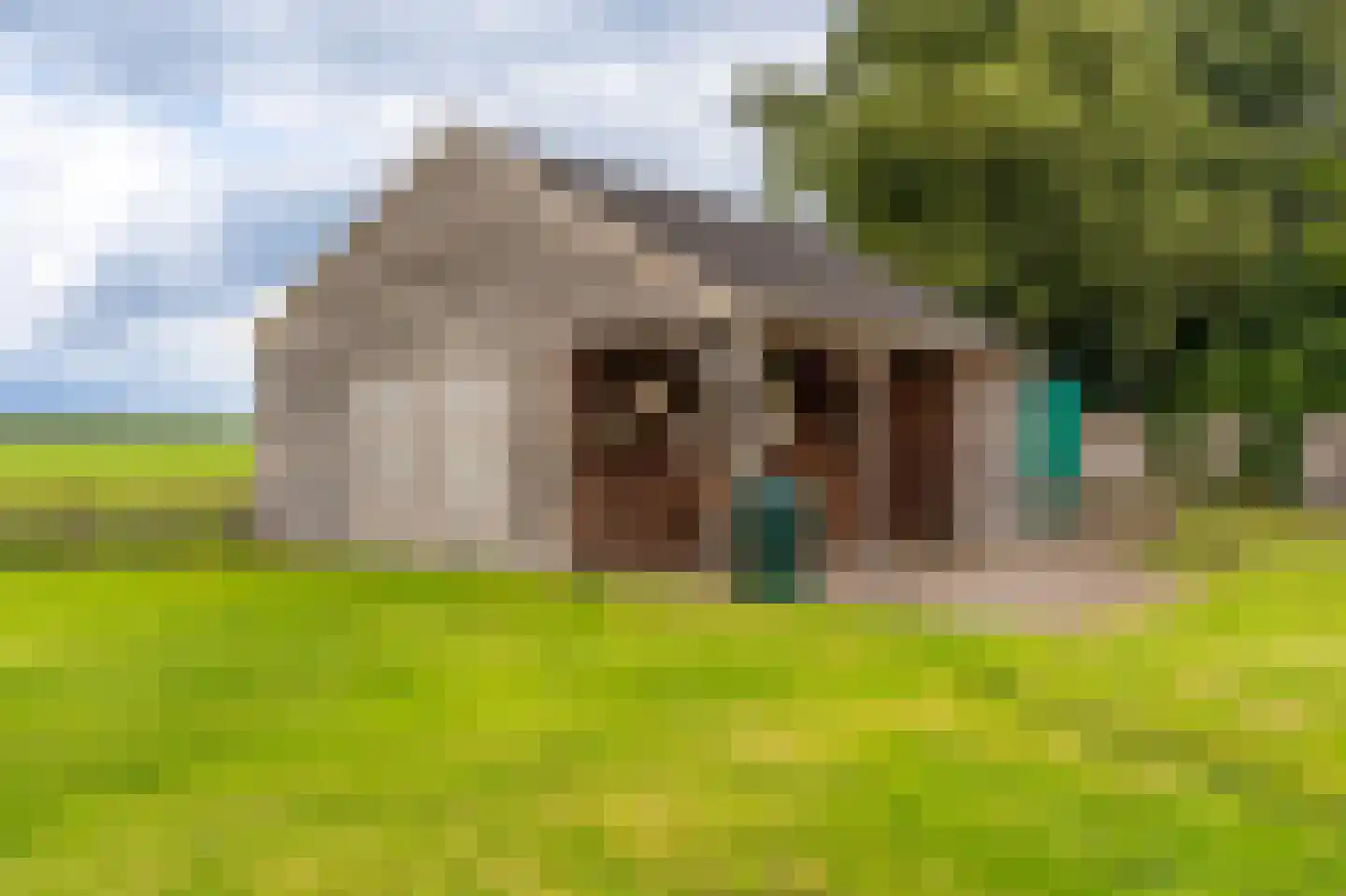 Essenlaan 8 Veelerveen thumbnail 13