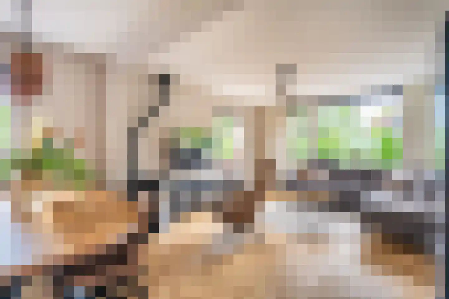 Essenlaan 8 Veelerveen thumbnail 18