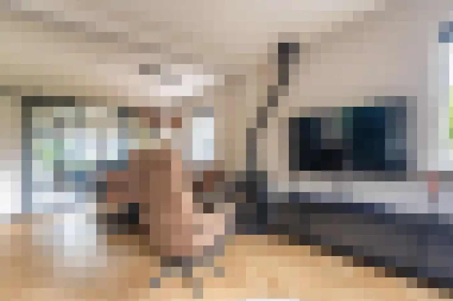 Essenlaan 8 Veelerveen thumbnail 20