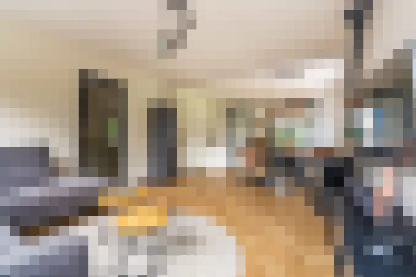 Essenlaan 8 Veelerveen thumbnail 22
