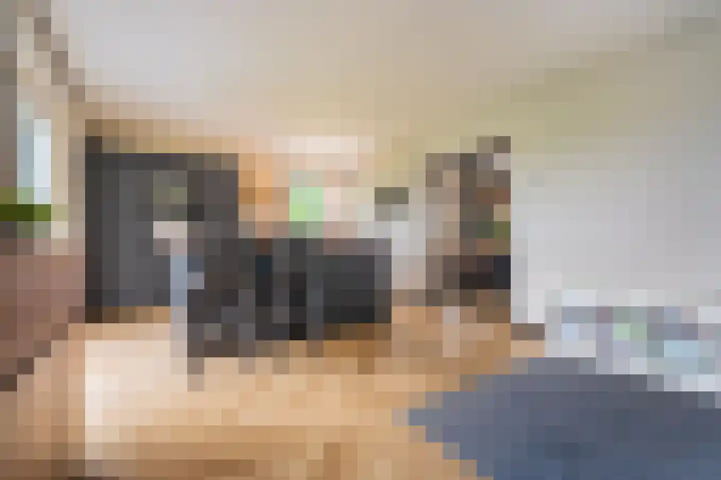 Essenlaan 8 Veelerveen thumbnail 26