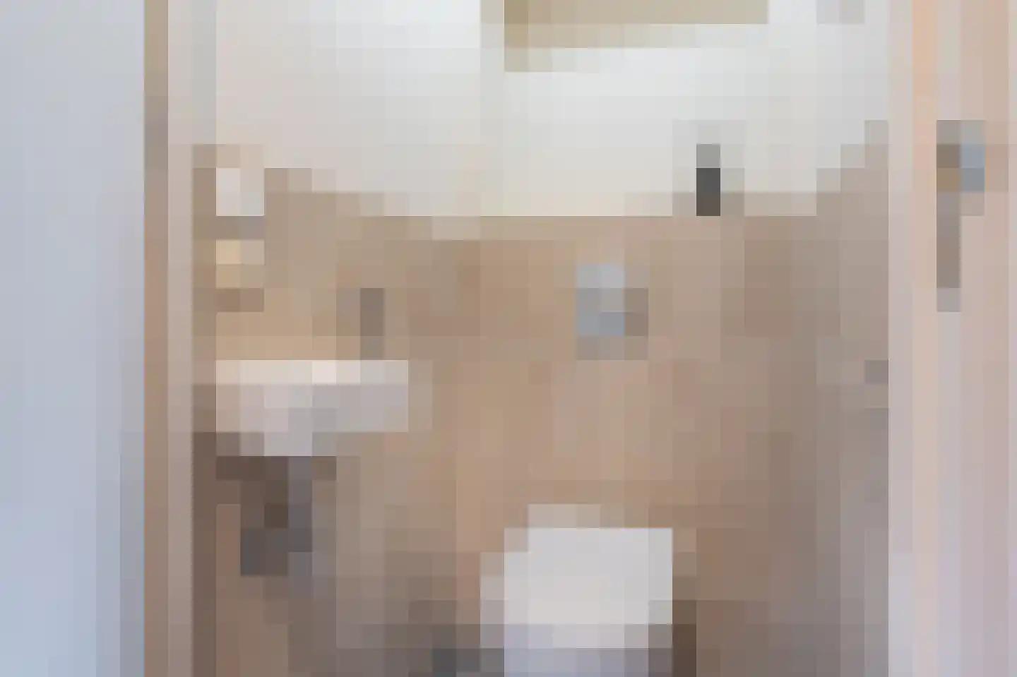 Essenlaan 8 Veelerveen thumbnail 31