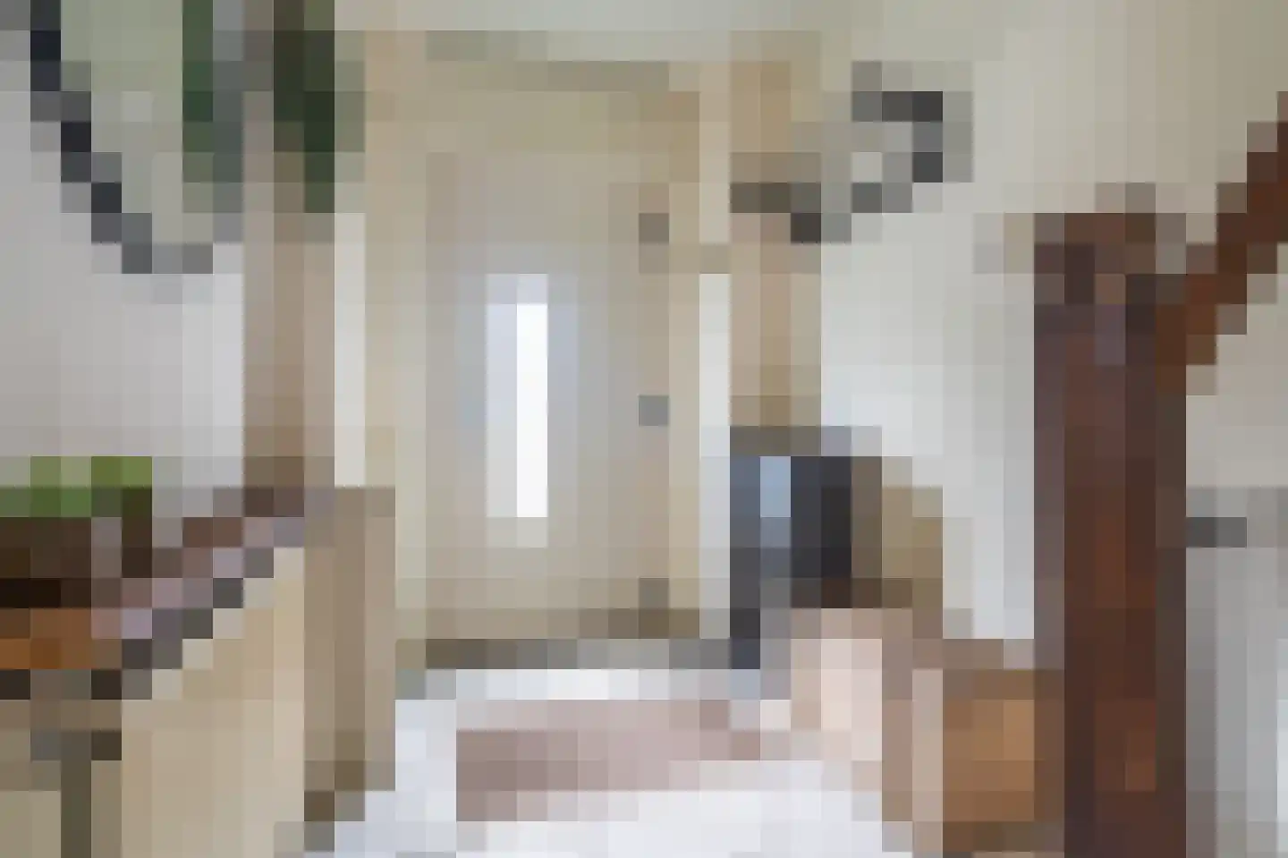 Essenlaan 8 Veelerveen thumbnail 32