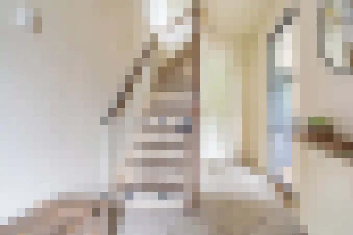 Essenlaan 8 Veelerveen thumbnail 33