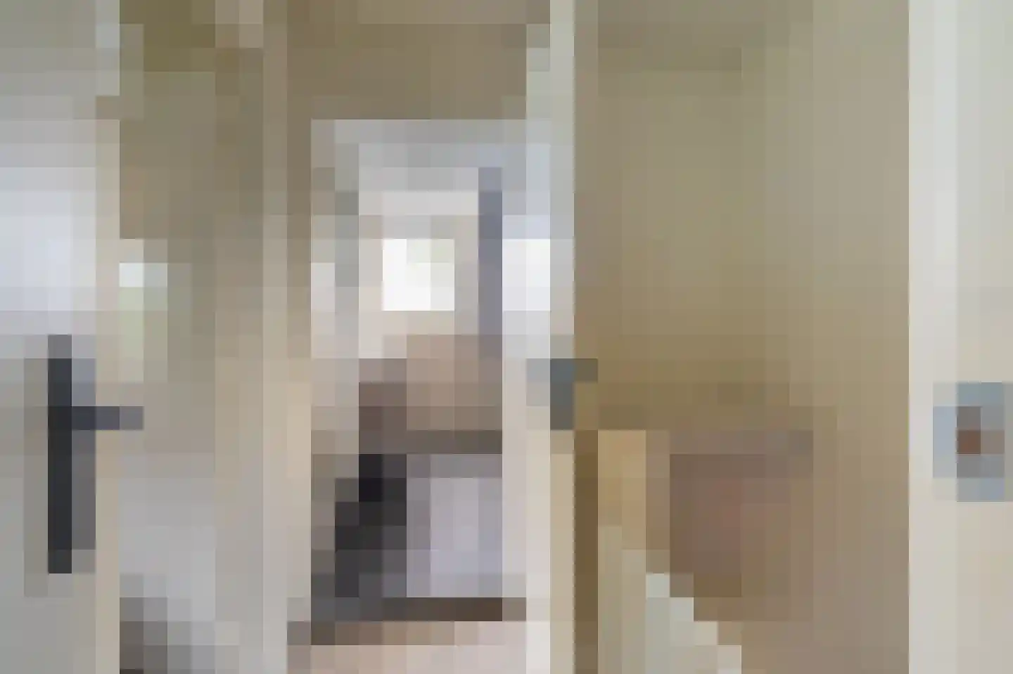 Essenlaan 8 Veelerveen thumbnail 34
