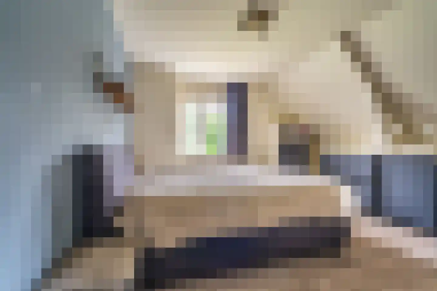 Essenlaan 8 Veelerveen thumbnail 38