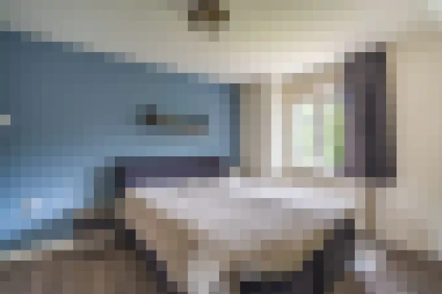Essenlaan 8 Veelerveen thumbnail 39