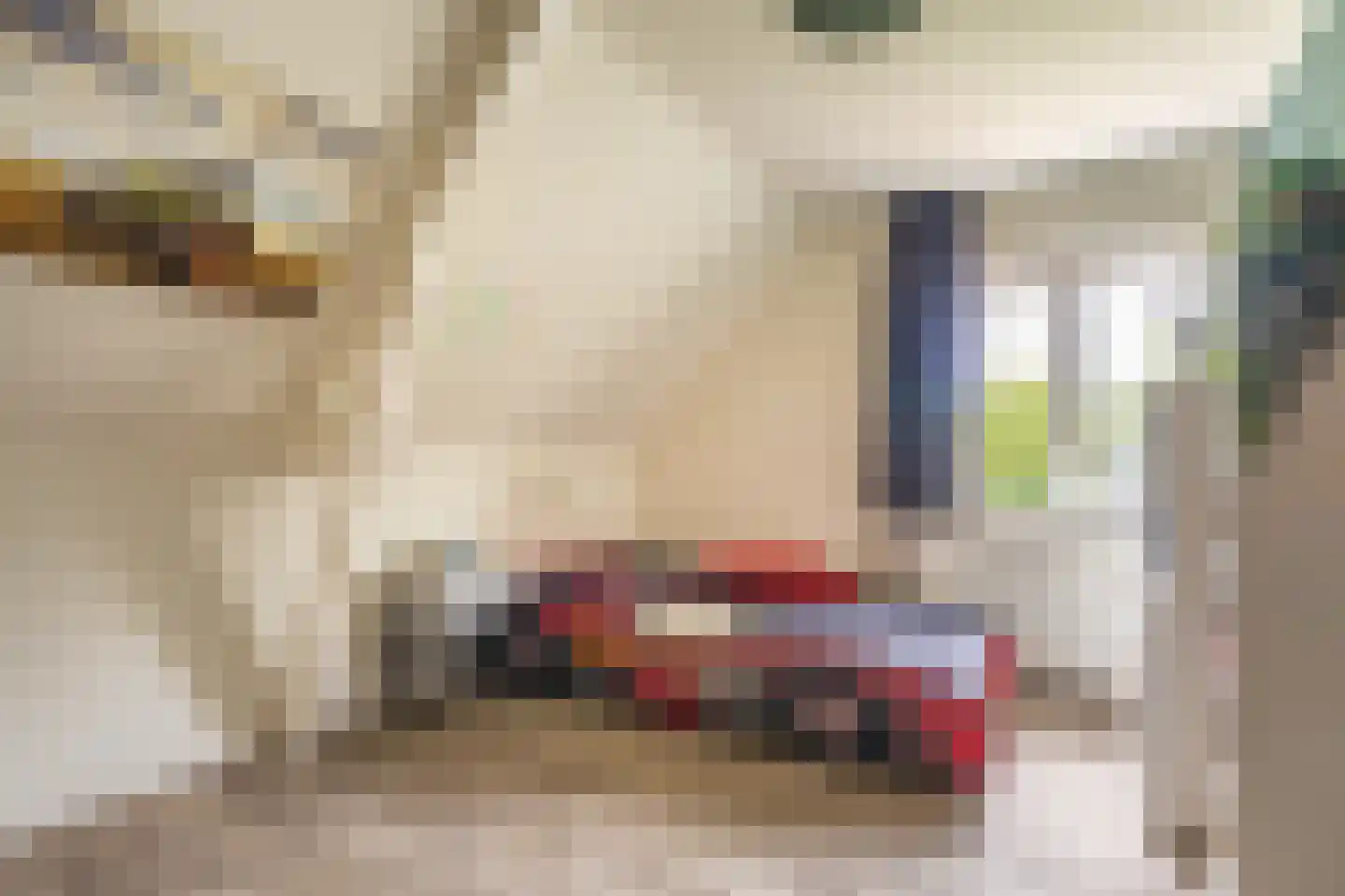 Essenlaan 8 Veelerveen thumbnail 41