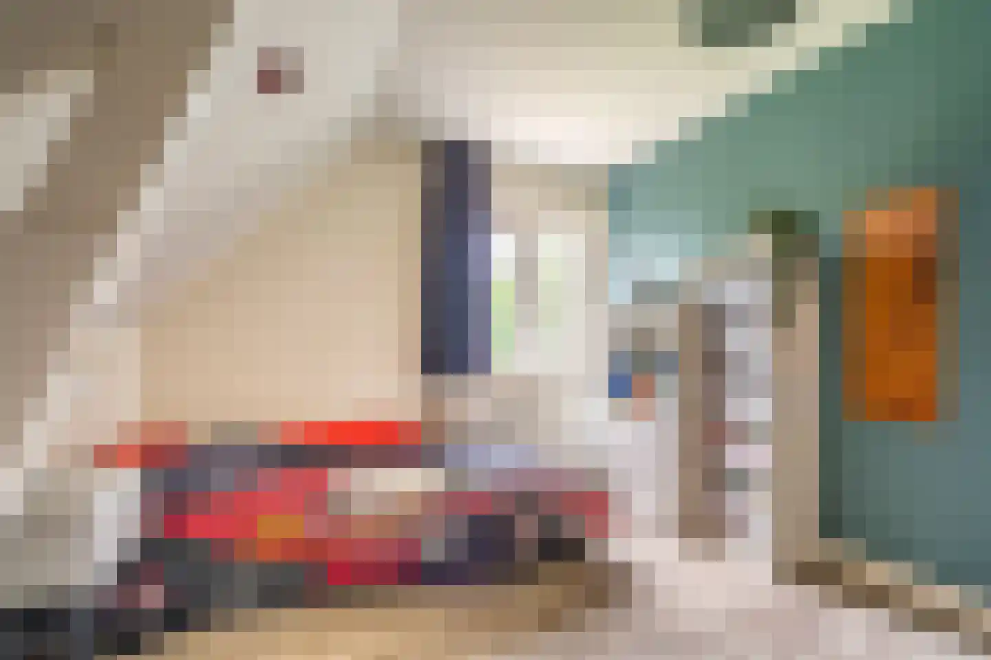 Essenlaan 8 Veelerveen thumbnail 42