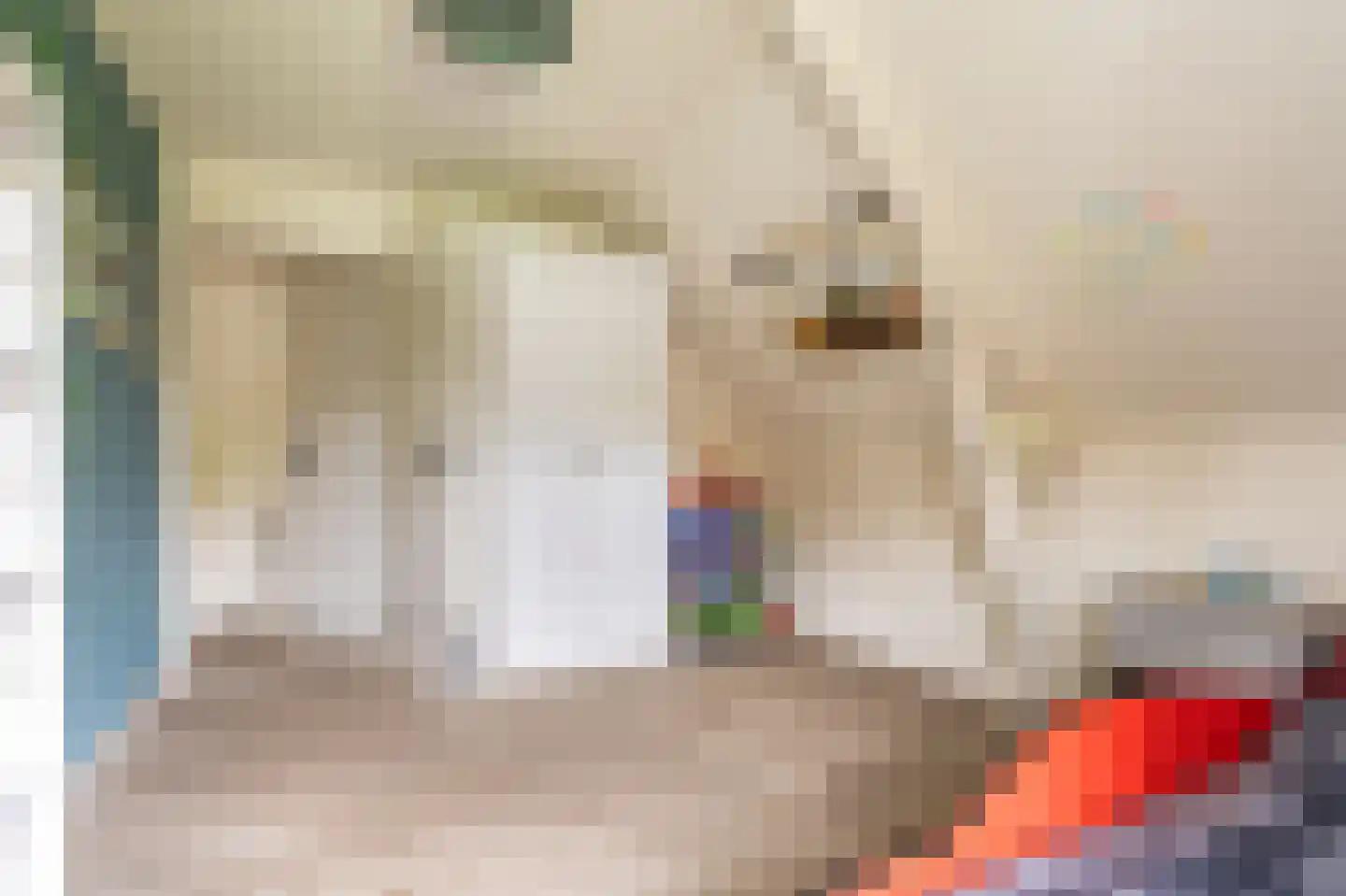 Essenlaan 8 Veelerveen thumbnail 43