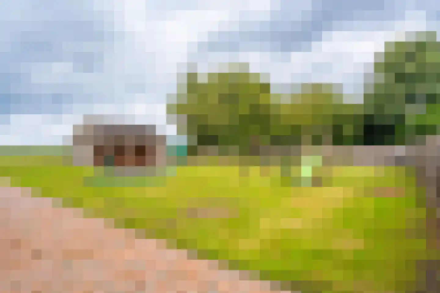 Essenlaan 8 Veelerveen thumbnail 5