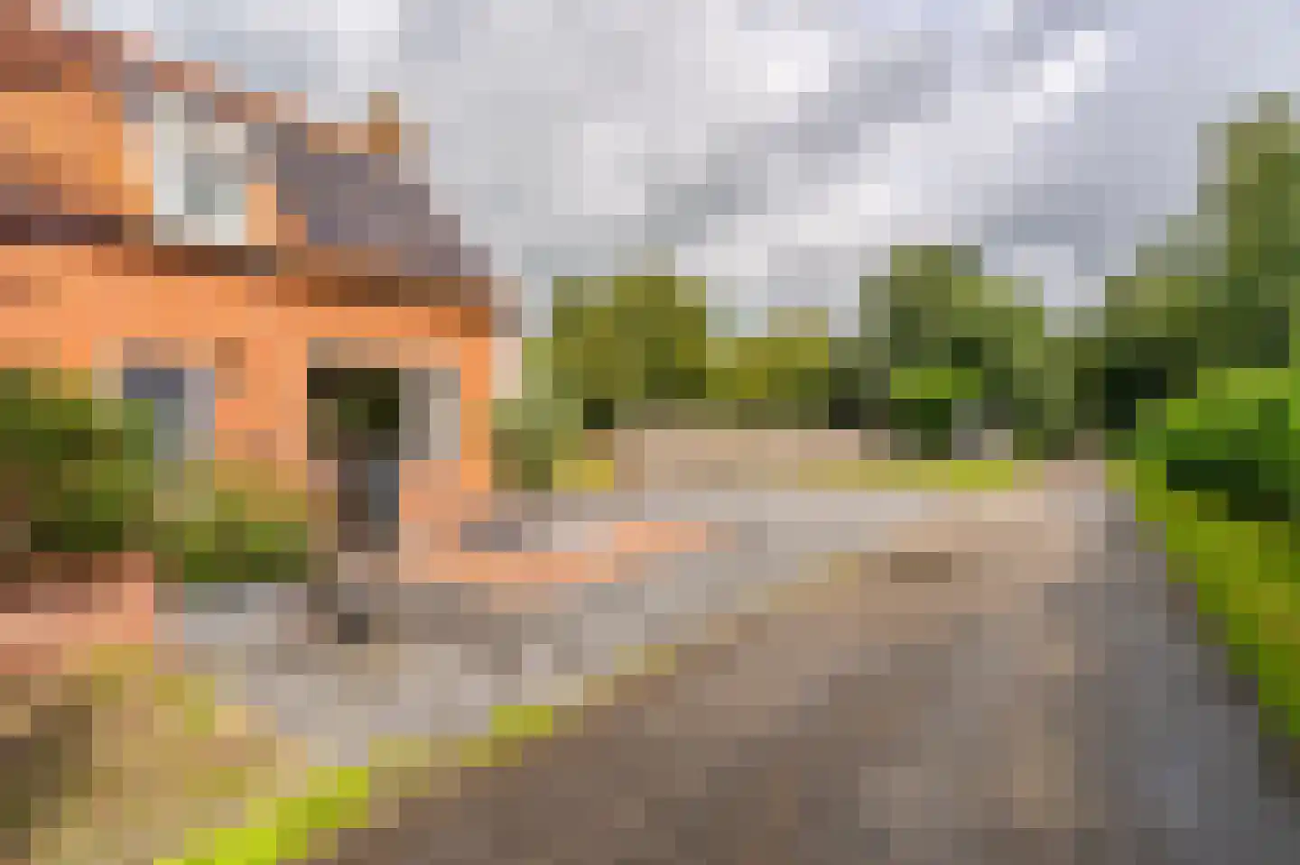 Essenlaan 8 Veelerveen thumbnail 6